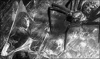 Image from: Cosmic Monsters (1958)