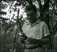 Image from: Terror Is a Man (1959)