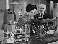 Image from: Wasp Woman, The (1959)