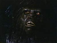 Image from: Barbaric Beast of Boggy Creek, Part II, The (1984)