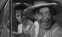 Image from: Alligator People, The (1959)