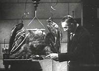 Image from: Devil Bat, The (1940)