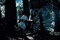 Image from: Star Wars: Ewok Adventures - The Battle for Endor (1985)