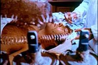 Image from: Terror! Il Castello delle Donne Maledette (1974)