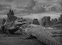 Image from: Two Lost Worlds (1951)