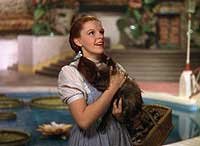 Image from: Wizard of Oz, The (1939)