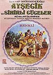 Aysecik ve Sihirli Cüceler Rüyalar Ülkesinde (1971) Poster