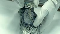 Image from: Terminus (2015)