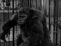 Image from: Captive Wild Woman (1943)