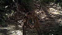 Image from: Return of the Killer Shrews (2012)