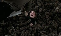 Image from: Rats, The (2002)