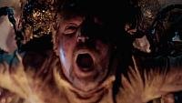 Image from: Welcome to Willits (2016)