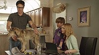 Image from: Robo-Dog (2015)