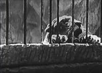 Image from: Lost City, The (1935)