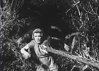 Image from: Lost City, The (1935)