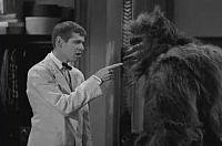 Image from: Bela Lugosi Meets a Brooklyn Gorilla (1952)