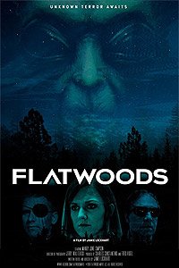 Flatwoods (2018) Movie Poster